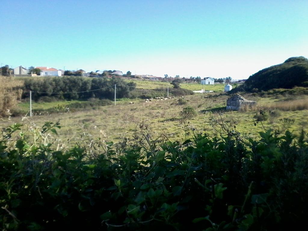 Cozy Country House Near Beaches Azoia  Extérieur photo
